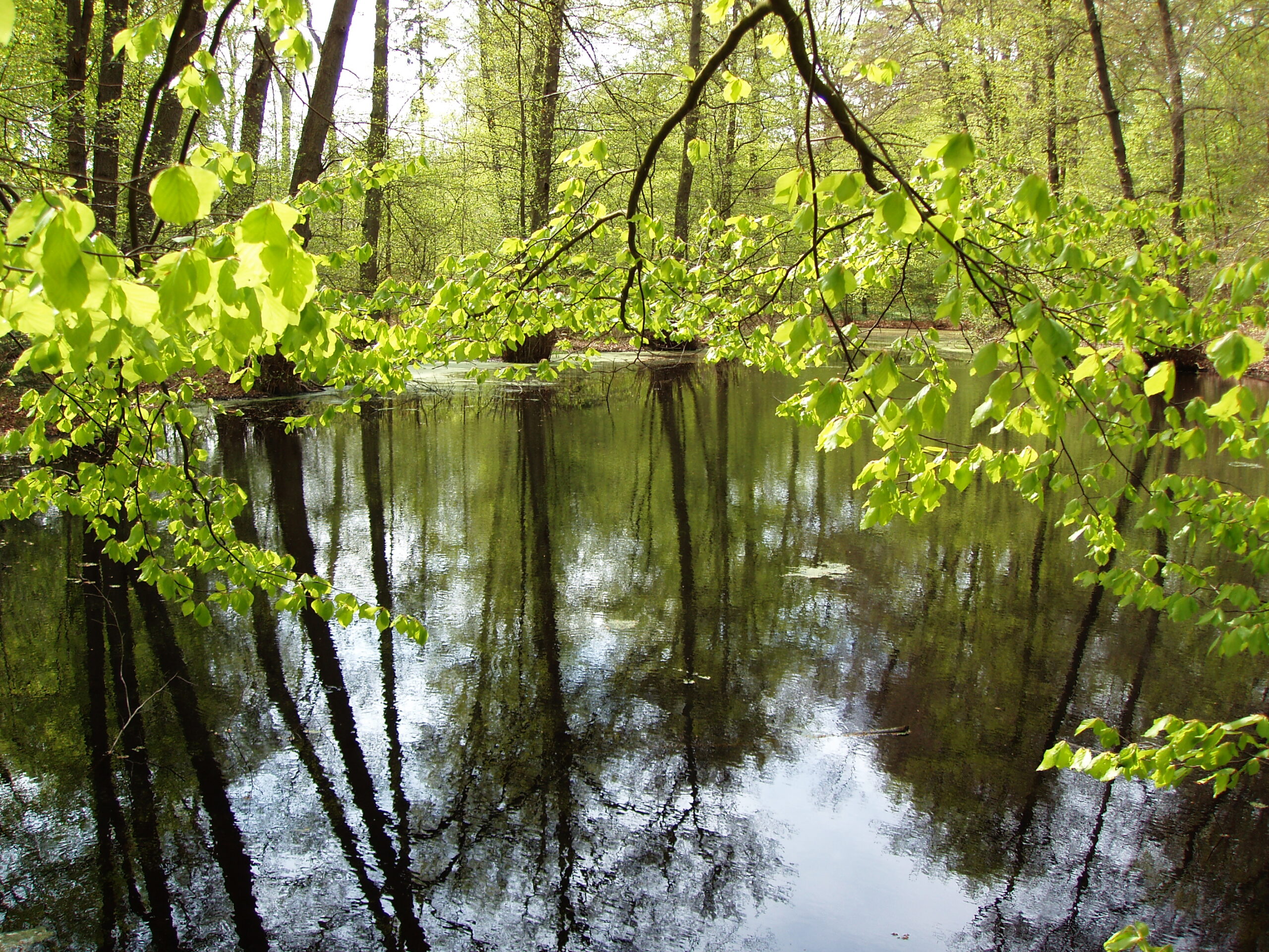 Guidning i at genfinde grunde til, at I valgte hinanden