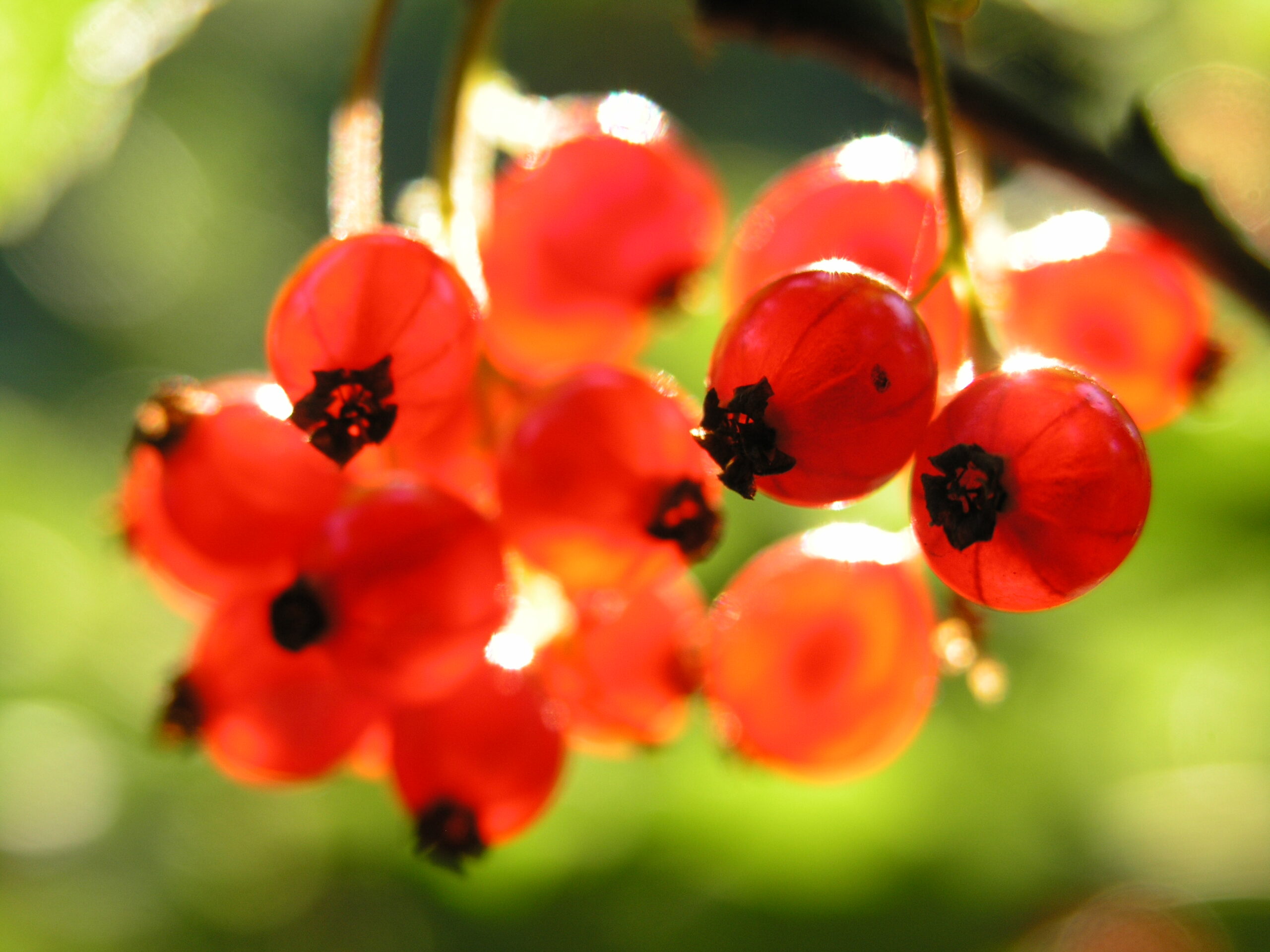 Hvordan får du hul igennem til din partner